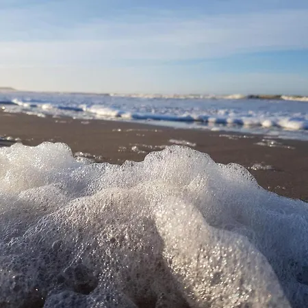 6 Person In Brovst-by Traum *