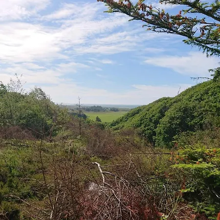 6 Person In Brovst-by Traum *